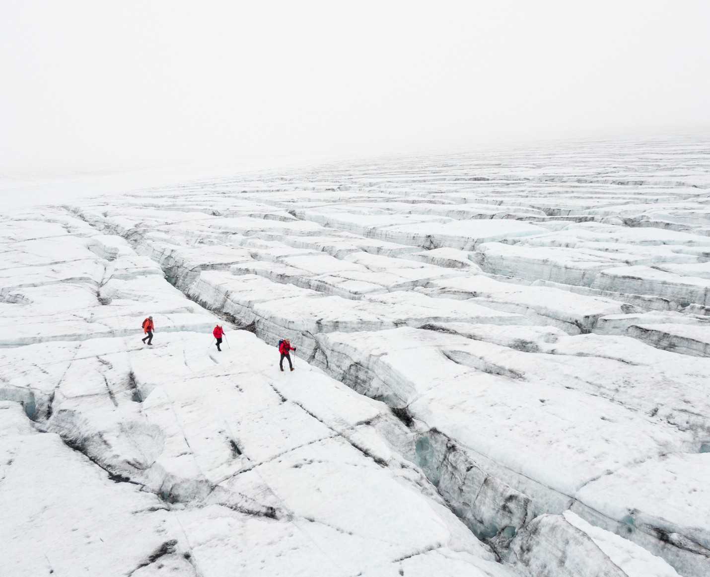 Future Nature — Work