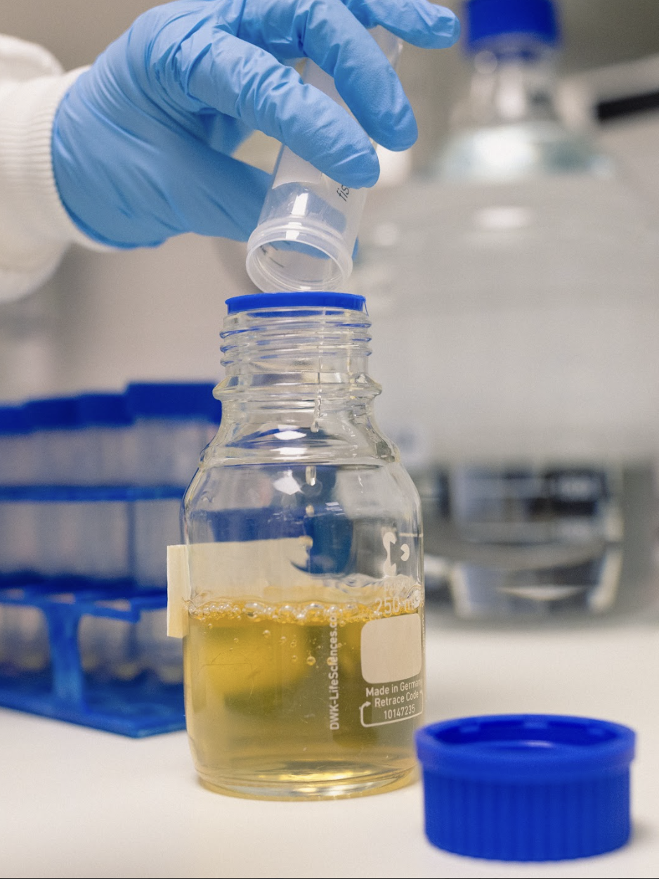 Future Nature — Clients